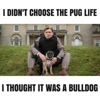 thanhhaiakaeggsy avatar