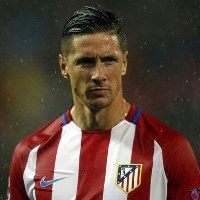 Nguyễn Toàn Tân avatar