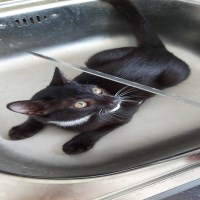 Phí Đình Văn Toàn Avatar