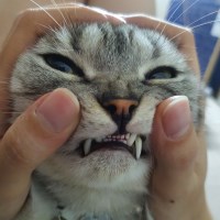 Ảnh đại diện mar30th