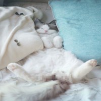 Ảnh đại diện Lộc 