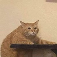 Nguyễn Văn Dương avatar