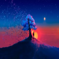 Hà Trung Hiếu avatar