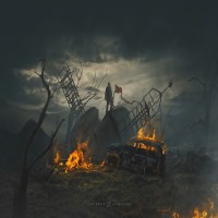 tranhoangdung Avatar