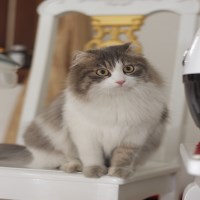 Ảnh đại diện Đạt Hoàng