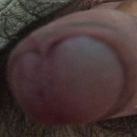 sucvatlinkneverdie Avatar