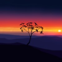 NormalProjectA avatar