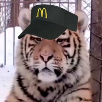 Ảnh đại diện Rogue