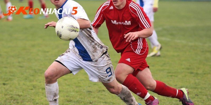 Thủ Thuật Cá Cược – Tổng Hợp Kinh Nghiệm Được Áp Dụng Nhiều