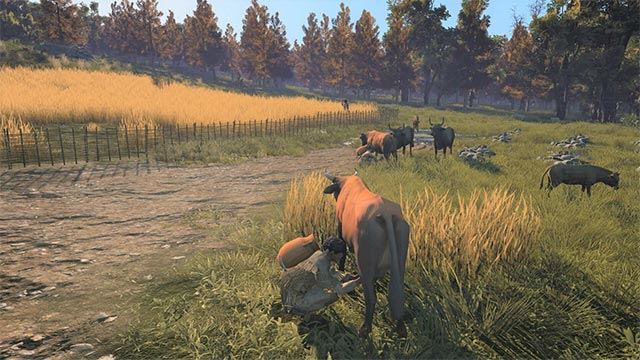 Ancient Cities Ancient Cities