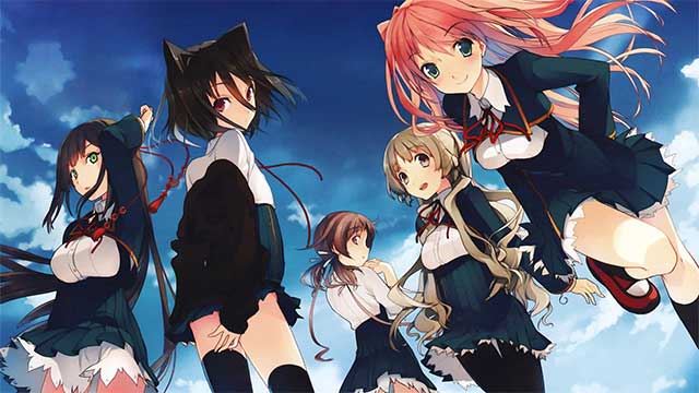 Love, Elections, and Chocolate