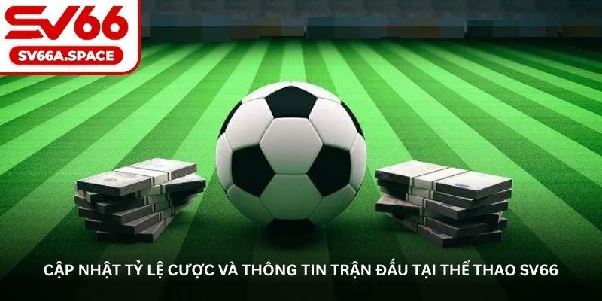 Thể thao SV66 – Nơi mọi fan bóng đá, bóng rổ đều mê mẩn