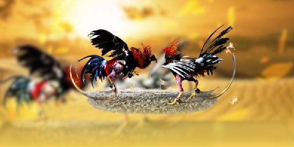 Chiến lược cược chấp hiệu quả khi tham gia tại ALO789