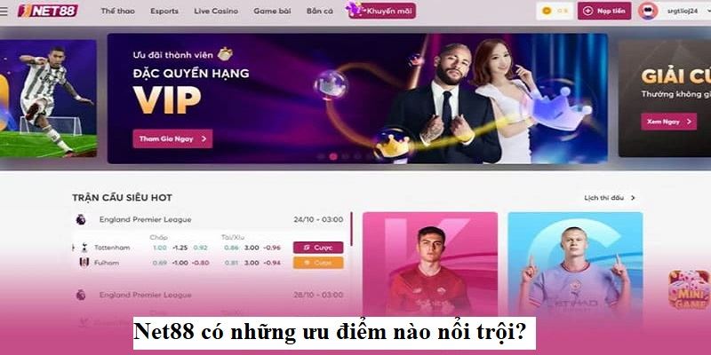 Net88 - Đỉnh Cao Cá Cược Trực Tuyến, Sân Chơi Đầy Màu Sắc