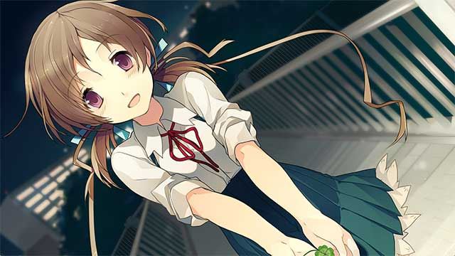 Love, Elections, and Chocolate