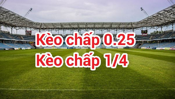 Kèo Chấp 2/4 Là Gì? Cách Đọc Và Phân Tích Tỷ Lệ Dễ Hiểu Kèo Chấp 2/4 Là Gì? Cách Đọc Và Phân Tích Tỷ Lệ Dễ Hiểu