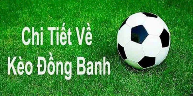 Sức Hút Khó Cưỡng Của Nowgoal Bóng Đá Trong Năm 2025