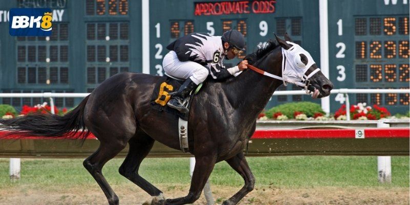 BK8 Club - Nơi Tạo Dựng Những Cơ Hội Cá Cược Thú Vị