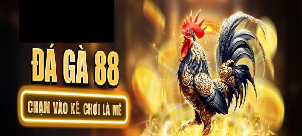 daga88 – Đấu trường đá gà trực tuyến đỉnh cao dành cho dân chơi thực thụ