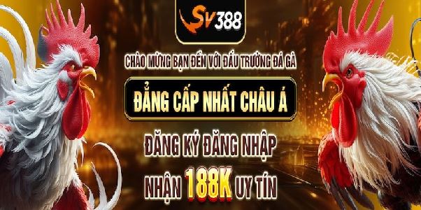 SV388 – Đấu trường đá gà trực tuyến uy tín hàng đầu châu Á