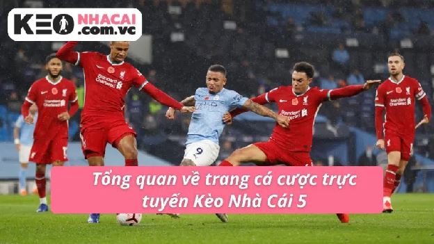 Kèo Nhà Cái 5 - Trải Nghiệm Liền Tay Khuấy Động Cá Cược