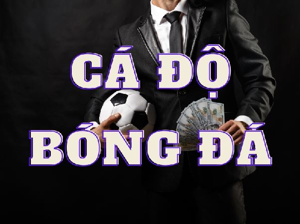 Bí Quyết Chọn Trang Cá Độ Bóng Đá Uy Tín Cho Người Mới Bắt Đầu