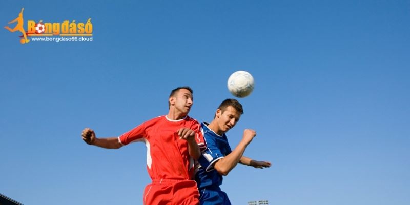 Bongdaso66 - Công Cụ Đọc Kèo Bóng Đá Cho Cược Thủ 2026