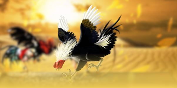 Chiến lược cược chấp hiệu quả khi tham gia tại ALO789