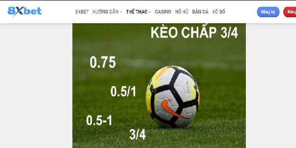 Khám Phá Thế Giới Cá Cược Đỉnh Cao Tại 8xbet Năm 2025
