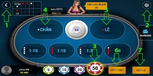 Xóc đĩa 33WIN – Đấu trường của những tay chơi không ngán rủi ro