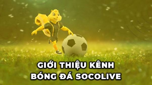 Hướng Dẫn Toàn Tập: Tải và Cài Đặt APP Socolive Phiên Bản Mới Nhất Mang Cả Sân Cỏ Thế Giới Vào Túi Của Bạn