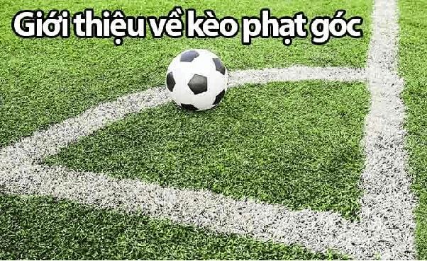 Tìm hiểu kèo phạt góc tại Kèo Nhà Cái 55 – góc nhìn phân tích chỉ số phạt góc đầy đủ và trực quan