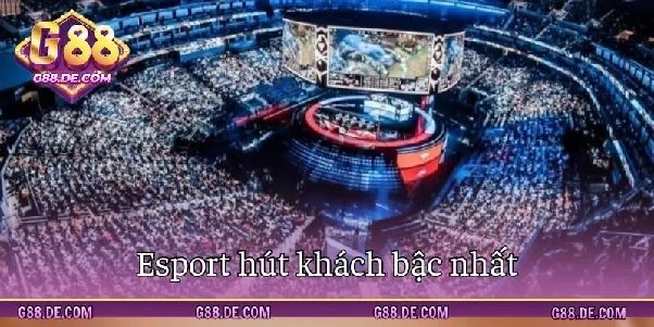 Thể thao G88 – Khám phá hệ thống kèo đa dạng cùng nhiều bộ môn thi đấu hấp dẫn Thể thao G88 – Khám phá hệ thống kèo đa dạng cùng nhiều bộ môn thi đấu hấp dẫn