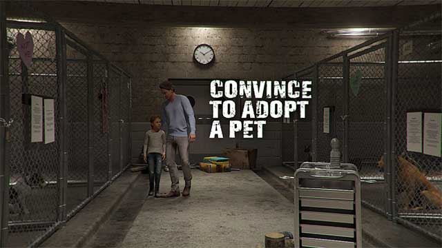 Animal Shelter Animal Shelter