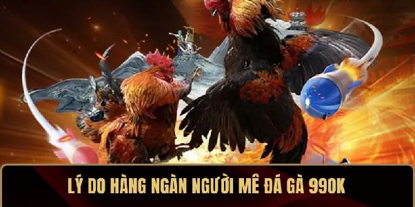 Đá Gà 99OK – Cuồng Nhiệt Cá Cược, Rực Lửa Đấu Trường