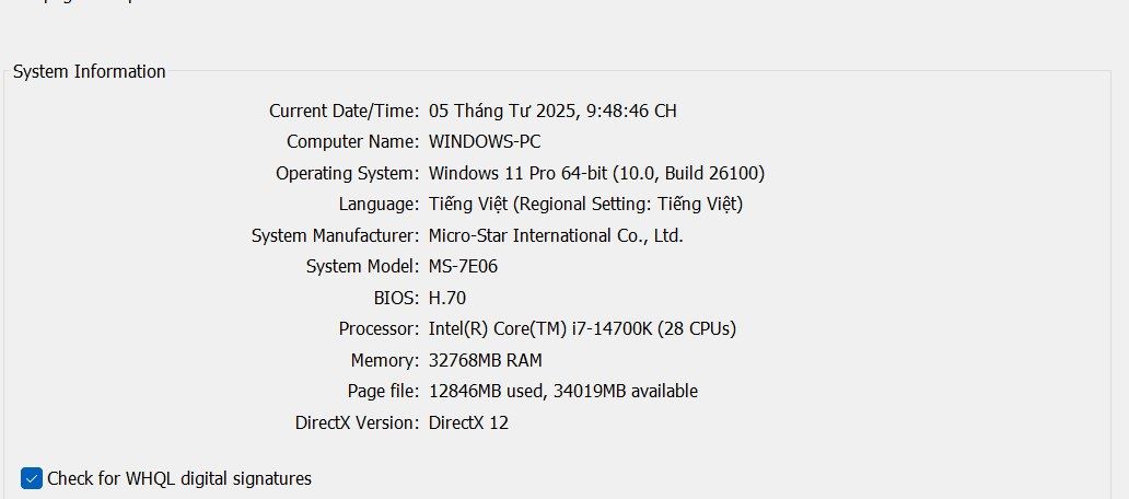 Không chạy được Elden Ring
