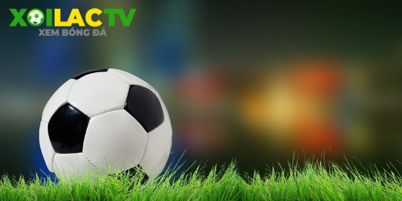 Xôi Lạc Lịch Thi Đấu: Nơi Hội Tụ Đầy Đủ Trận Bóng Trong Ngày