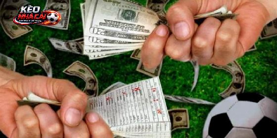 Kèo Nhà Cái 55 – Điểm Tra Cứu Bóng Đá Đáng Chú Ý Hiện Nay Kèo Nhà Cái 55 – Điểm Tra Cứu Bóng Đá Đáng Chú Ý Hiện Nay
