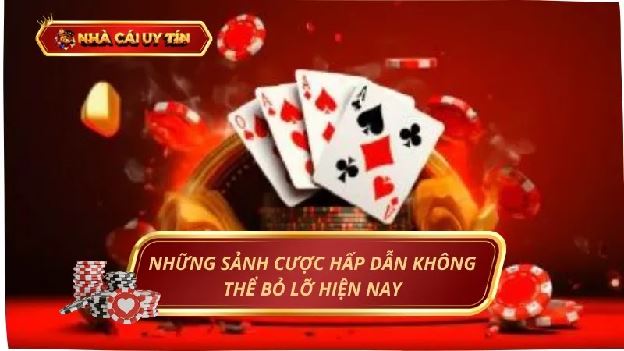 Nhà Cái Uy Tín - Sân Chơi Hàng Đầu Cho Mọi Cược Thủ
