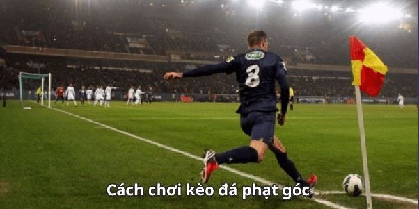 Tìm hiểu kèo phạt góc tại Kèo Nhà Cái 55 – góc nhìn phân tích chỉ số phạt góc đầy đủ và trực quan
