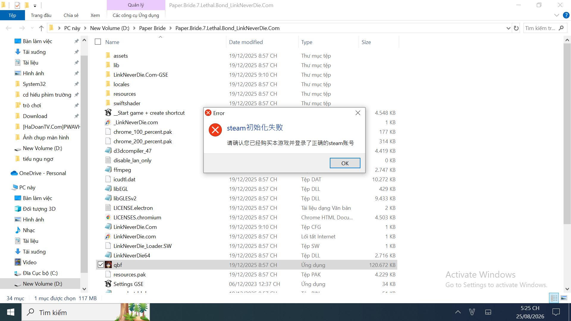 lỗi steam Paper Bride 7