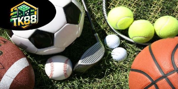 Thể Thao TK88 - Kinh Nghiệm Cá Cược Hiệu Quả Cho Người Mới