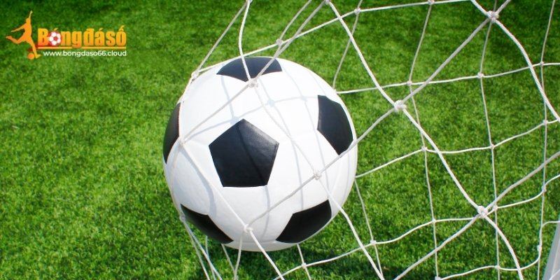 Bongdaso66 - Công Cụ Đọc Kèo Bóng Đá Cho Cược Thủ 2026