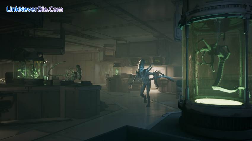 Hình ảnh trong game Alien: Rogue Incursion Evolved Edition (screenshot)