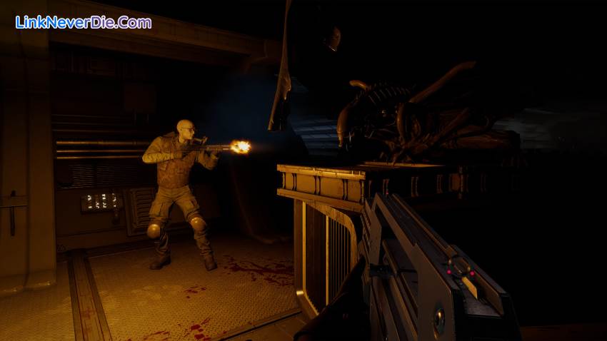 Hình ảnh trong game Alien: Rogue Incursion Evolved Edition (screenshot)