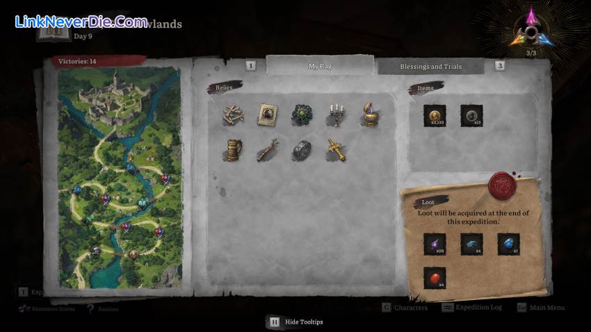 Hình ảnh trong game Lost Eidolons: Veil of the Witch (screenshot)