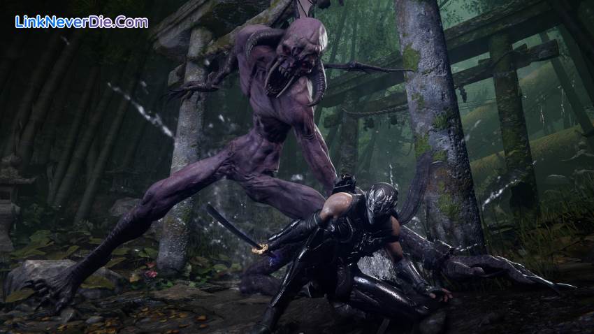Hình ảnh trong game NINJA GAIDEN 4 (screenshot)