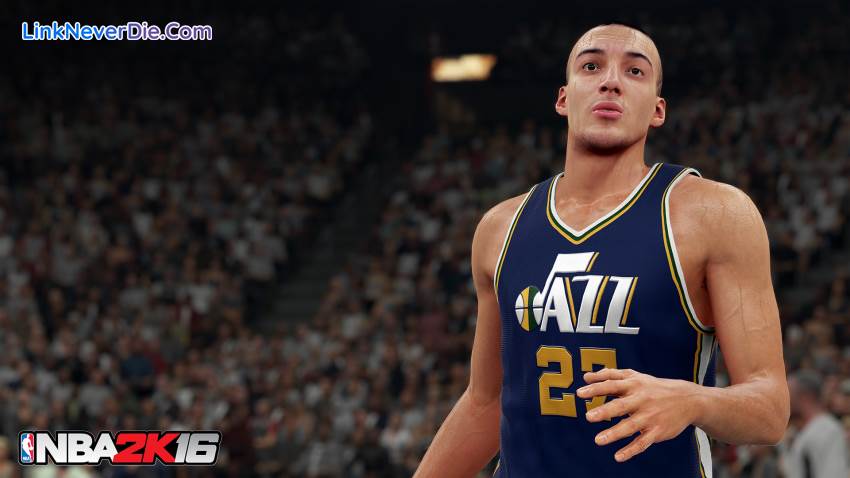 Hình ảnh trong game NBA 2K16 (screenshot)