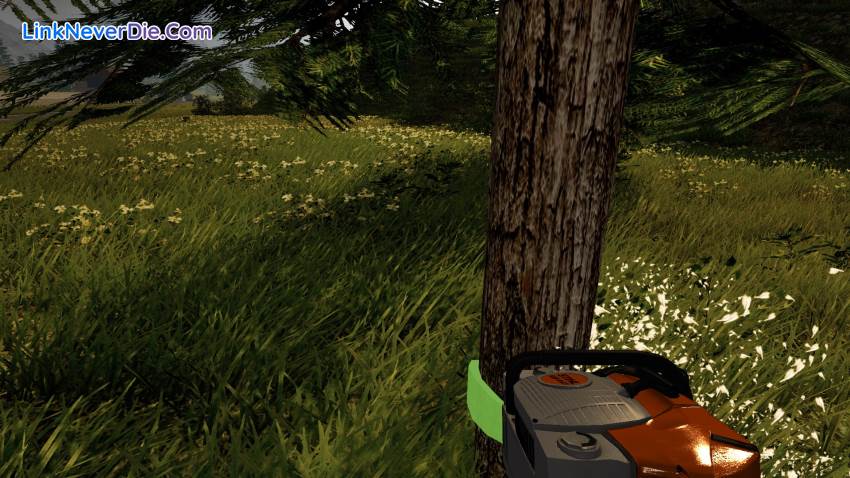 Hình ảnh trong game Forestry 2017: The Simulation (screenshot)