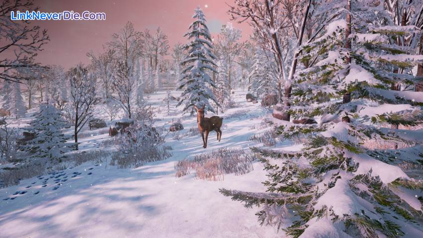 Hình ảnh trong game Bottle (screenshot)